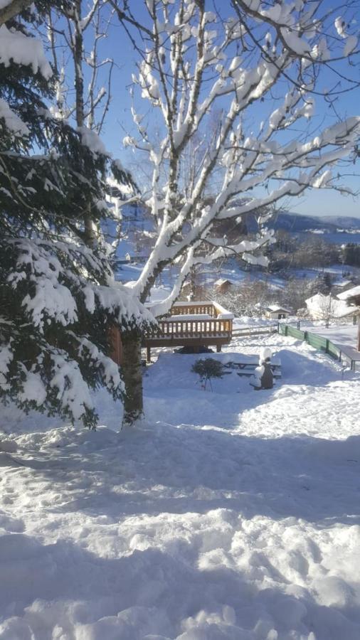 Au Grenier Du Lac Gerardmer Exterior photo