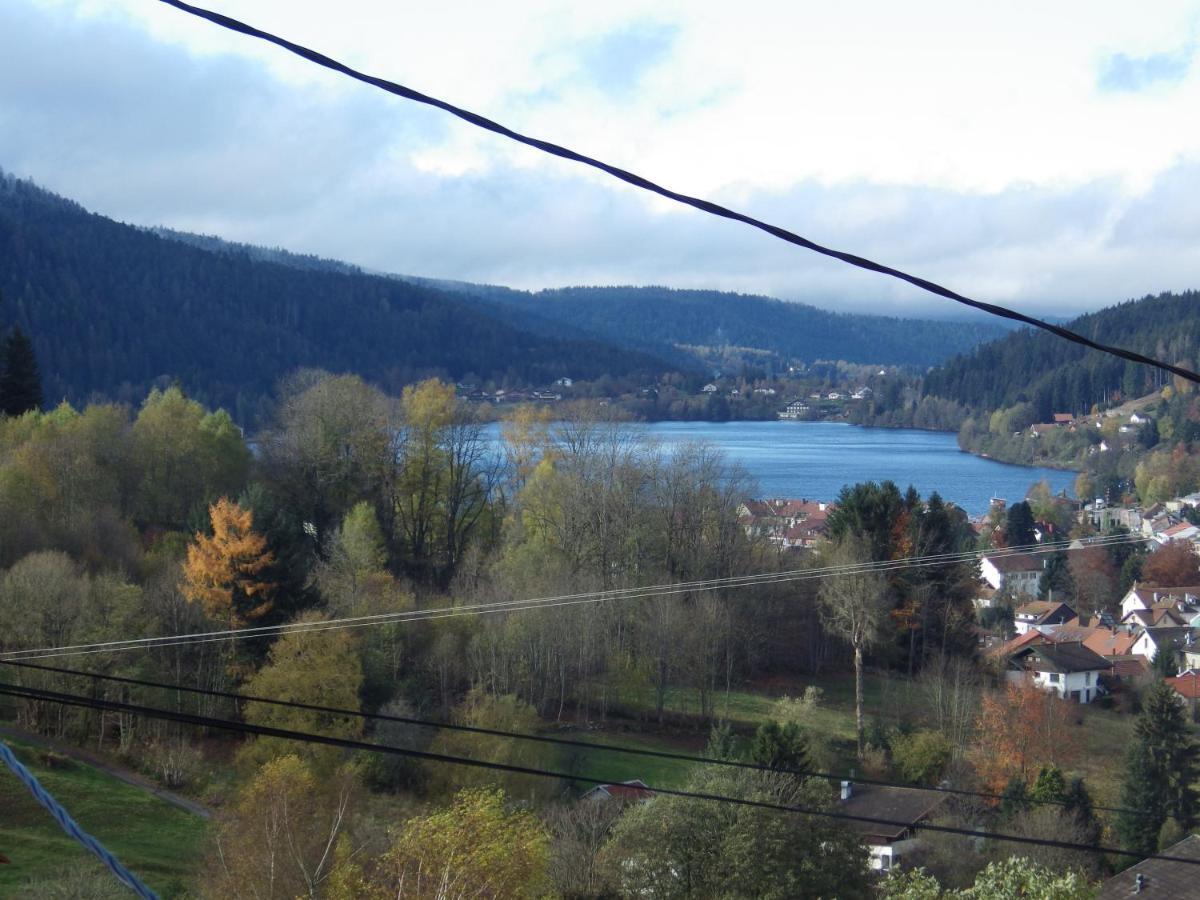 Au Grenier Du Lac Gerardmer Exterior photo